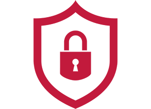Critical security icon