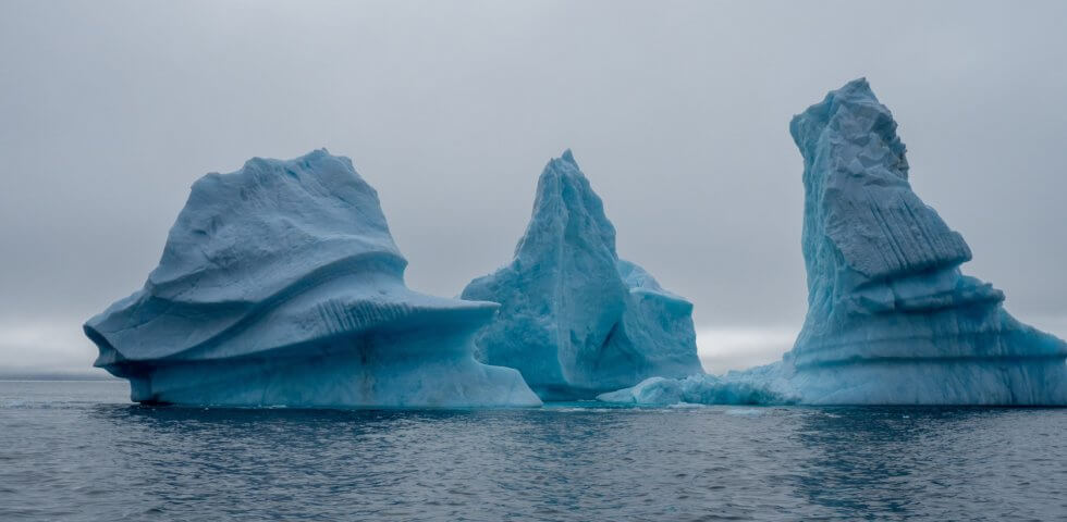 icebergs in ocean