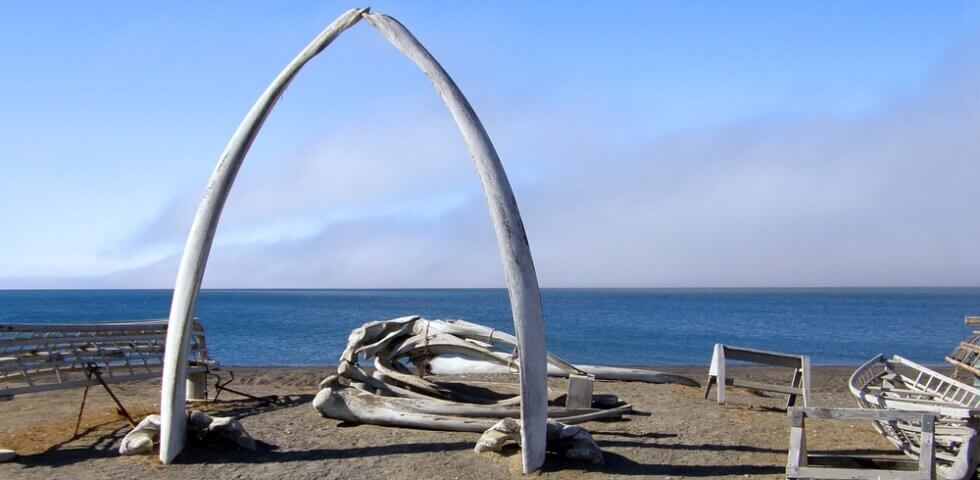 Whale Bone arch in Utqiaġvik, Alaska - site of the Quintillion HiLDA Ground Station